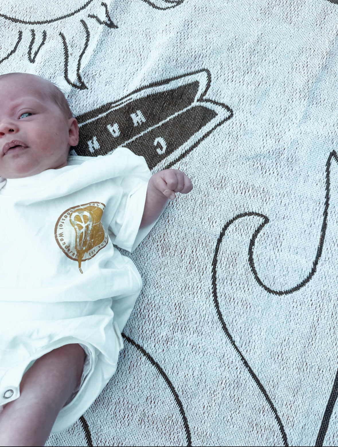 Coastal Dreams Picnic Rug