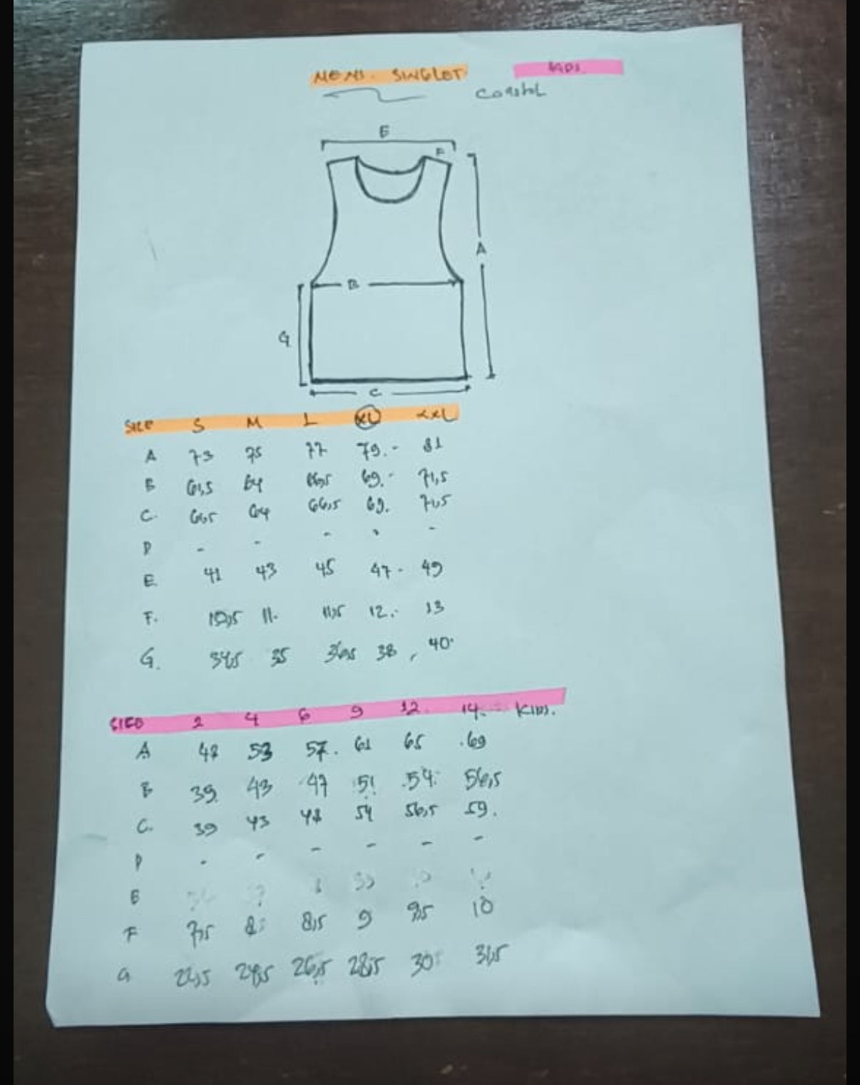 Saltiest wisdom Singlet mens